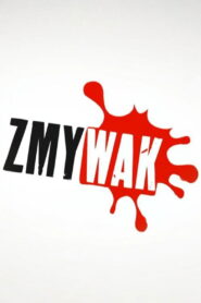 Zmywak
