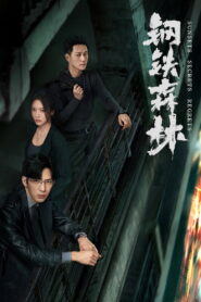 Sunsets Secrets Regrets: Season 1